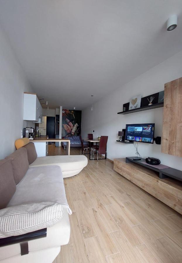 Apartament Pod Szyndzielnia, Debowiec Белско-Бяла Екстериор снимка