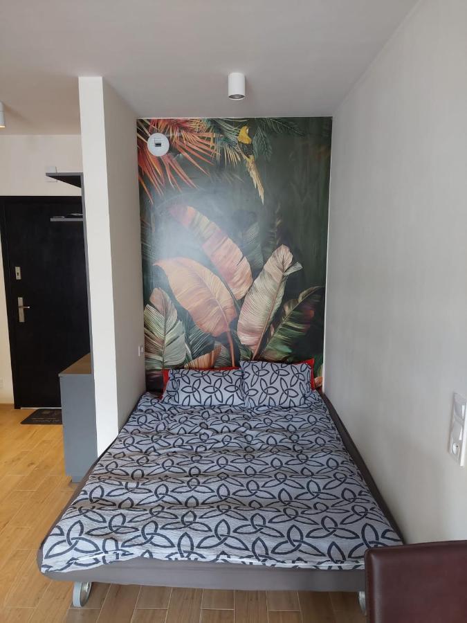 Apartament Pod Szyndzielnia, Debowiec Белско-Бяла Екстериор снимка
